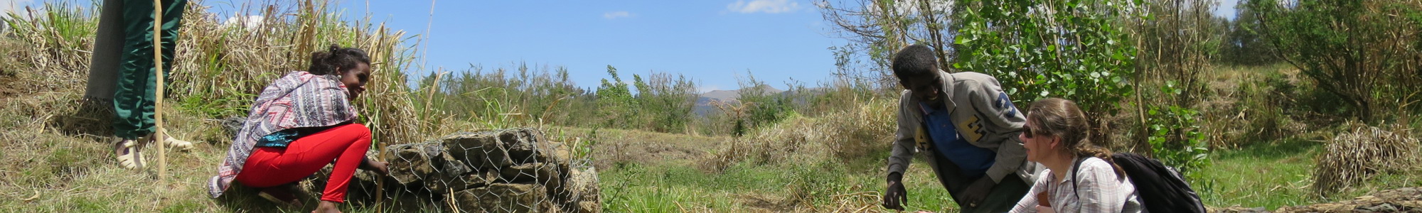 Tana Beles Watershed Project In Ethiopia